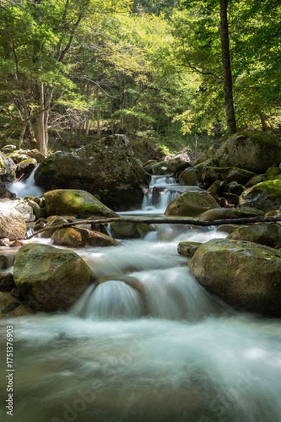 Obraz 初秋の長野県川上村の梓川渓流