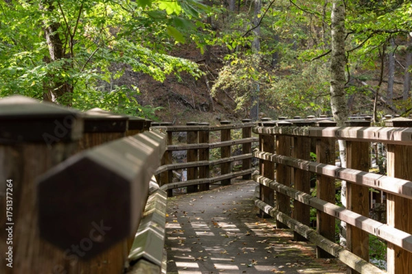 Obraz 甲武信ヶ岳の千曲川源流にかかる木製の橋