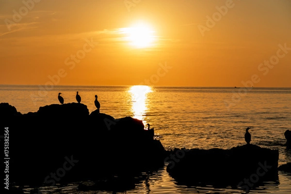Obraz Stunning sunset over ocean as birds take in the view from rocky outcrops, perfect for travel blogs, nature documentaries, and peaceful coastal scenes