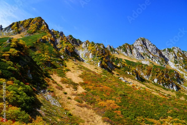 Fototapeta 千畳敷カールの紅葉