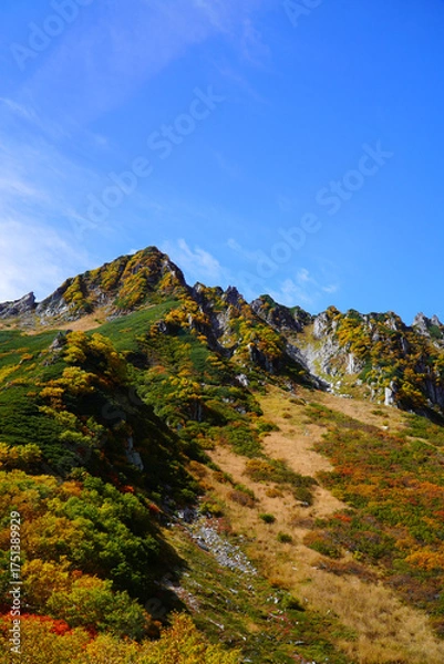 Fototapeta 千畳敷カールの紅葉