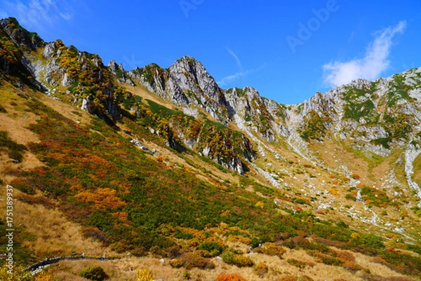 Fototapeta 千畳敷カールの紅葉