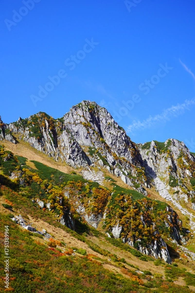 Fototapeta 千畳敷カールの紅葉