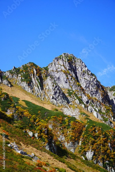 Fototapeta 千畳敷カールの紅葉