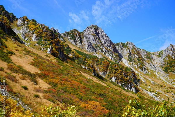Fototapeta 千畳敷カールの紅葉