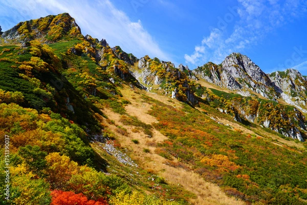 Fototapeta 千畳敷カールの紅葉