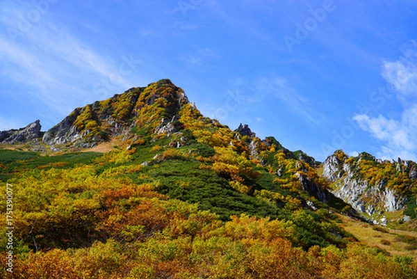 Fototapeta 千畳敷カールの紅葉