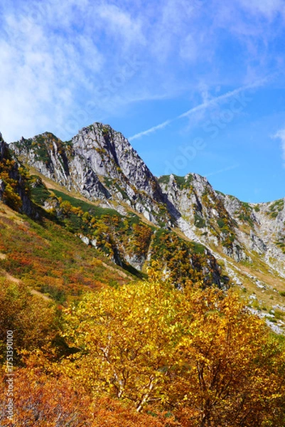 Fototapeta 千畳敷カールの紅葉