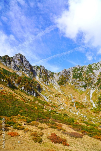 Fototapeta 千畳敷カールの紅葉