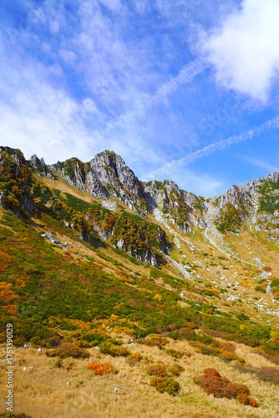 Fototapeta 千畳敷カールの紅葉