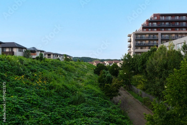 Fototapeta 自然が豊かな住宅地