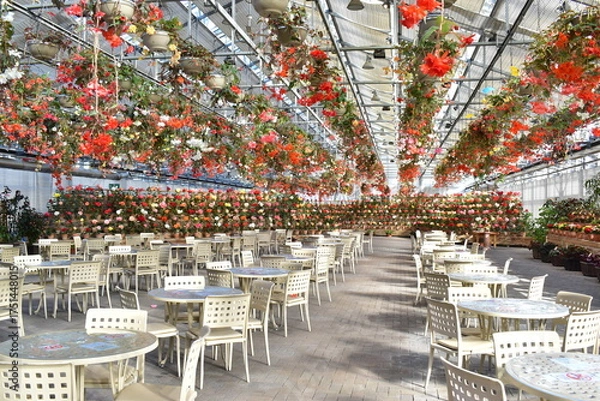 Obraz 三重　三重県　なばなの里