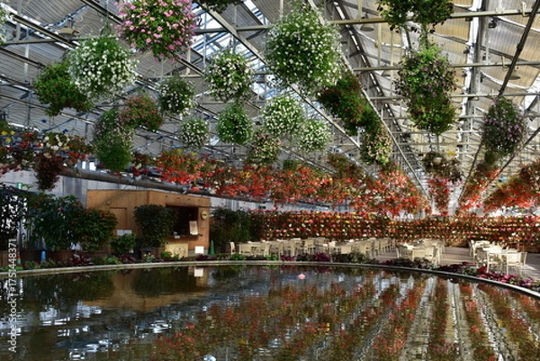 Fototapeta 三重　三重県　なばなの里