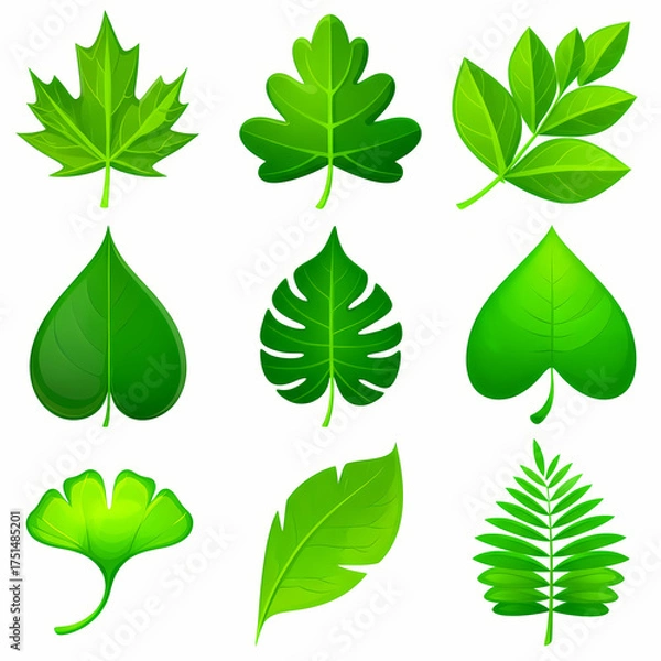 Fototapeta A vibrant collection of various green leaf illustrations, showcasing diverse shapes and botanical details.