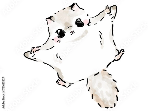 Obraz エゾモモンガ　飛ぶ　かわいい絵本風イラスト