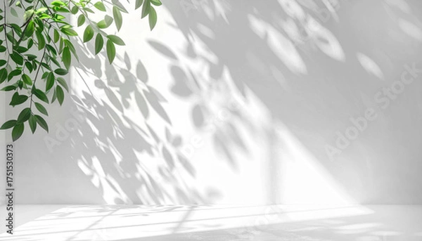 Obraz 白い背景におしゃれな葉っぱの影