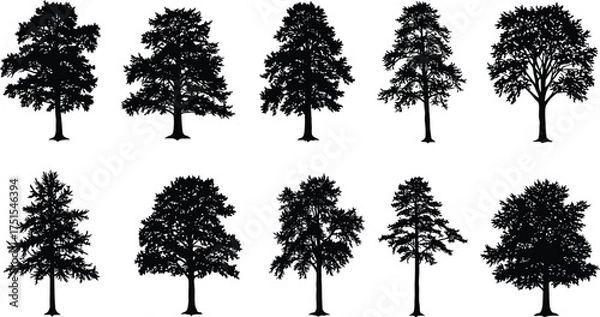 Fototapeta Collection of realistic tree silhouettes, isolated black tree shapes on white background, nature forest illustration, vector tree design for landscape art