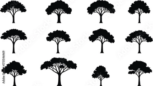 Fototapeta Set of acacia tree silhouettes, black tropical tree vector collection, isolated forest and savanna plant illustration for nature and design
