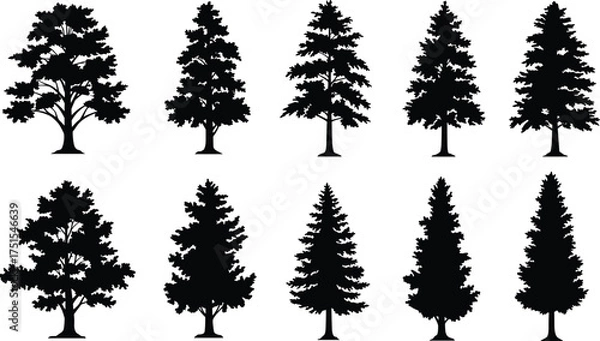 Fototapeta Set of evergreen pine tree silhouettes, detailed conifer forest vector collection, black natural fir and spruce shapes illustration