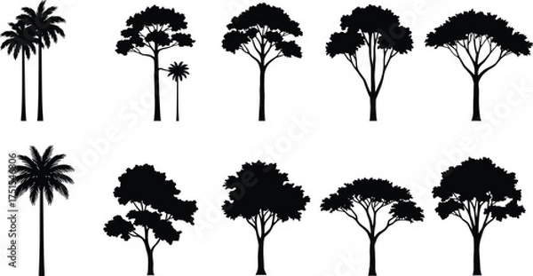 Fototapeta Collection of tropical and deciduous tree silhouettes, black vector illustration of palm trees and forest trees on white background