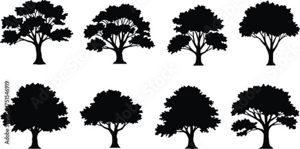 Fototapeta Collection of tree silhouettes isolated on white background, black vector illustration, natural forest design, oak tree shapes for landscape and art