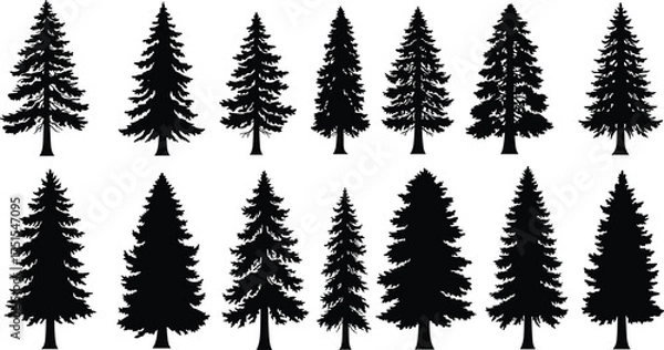 Fototapeta Collection of pine tree silhouettes isolated on white background, evergreen conifer forest trees, nature vector illustration for design and decoration