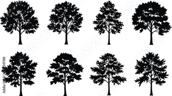 Fototapeta Collection of tree silhouettes isolated on white background, detailed forest tree shapes, natural botanical vector design for landscape illustration
