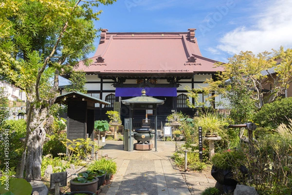 Fototapeta 神奈川県大和市・常泉寺の彼岸花と緑に囲まれた境内の風景