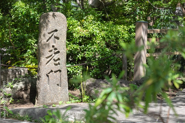Fototapeta 神奈川県大和市・常泉寺の彼岸花と緑に囲まれた境内の風景