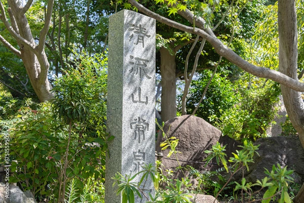 Fototapeta 神奈川県大和市・常泉寺の彼岸花と緑に囲まれた境内の風景