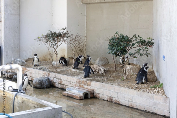 Fototapeta 茨城県・霞ヶ浦ふれあいランドの現代的な建築と動物たち