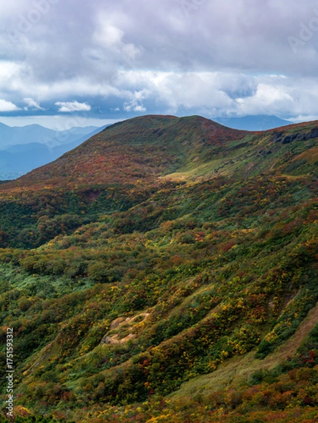 Fototapeta 紅葉の栗駒山（虚空蔵山方面）