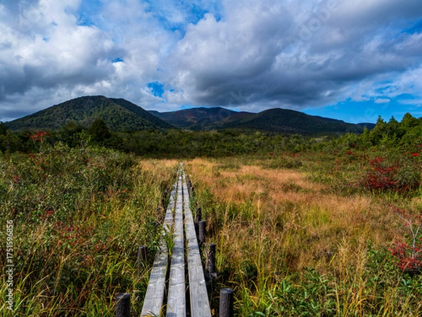 Fototapeta 世界谷地湿原