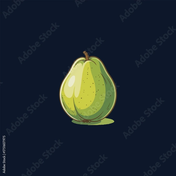 Fototapeta vector illustration of a green guava