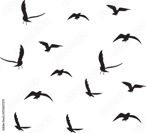 Obraz Silhouette of Flying Birds in the Sky Isolated on White Background