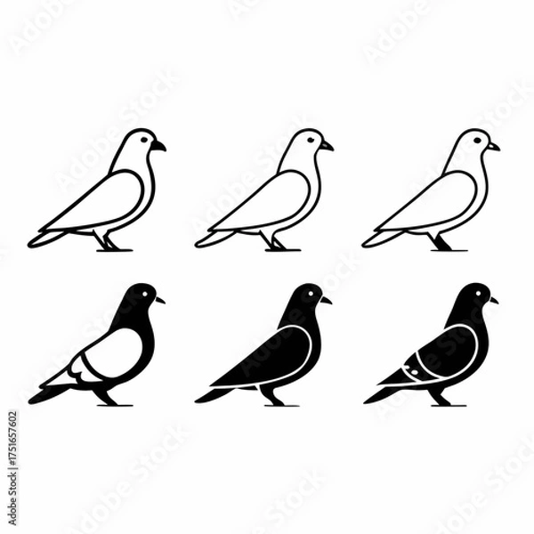 Fototapeta Six pigeon icons in black and white, representing different color variations