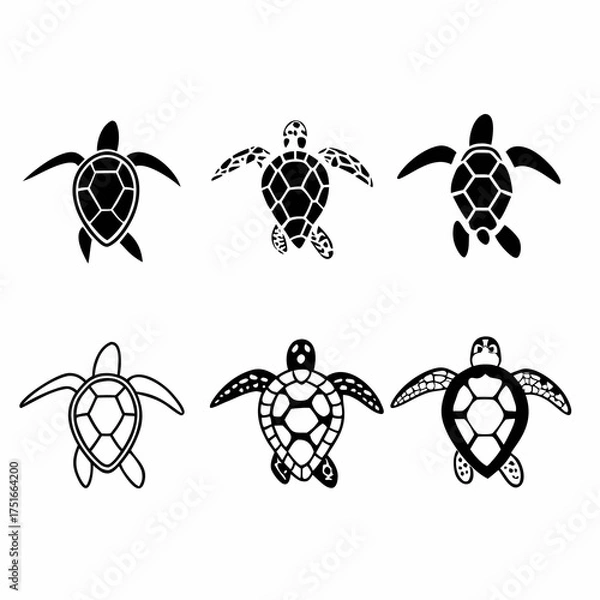 Fototapeta Illustration of six turtles, in various poses, drawn in black outline