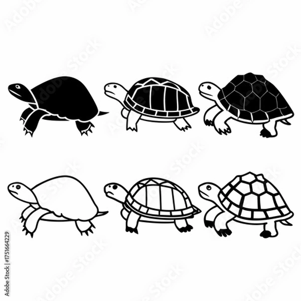 Fototapeta Collection of turtle icons, showcasing various shell designs and poses in black and white
