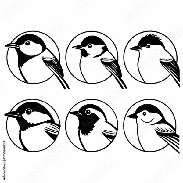 Fototapeta Collection of chickadee icons, showcasing various chickadee species in a simple design