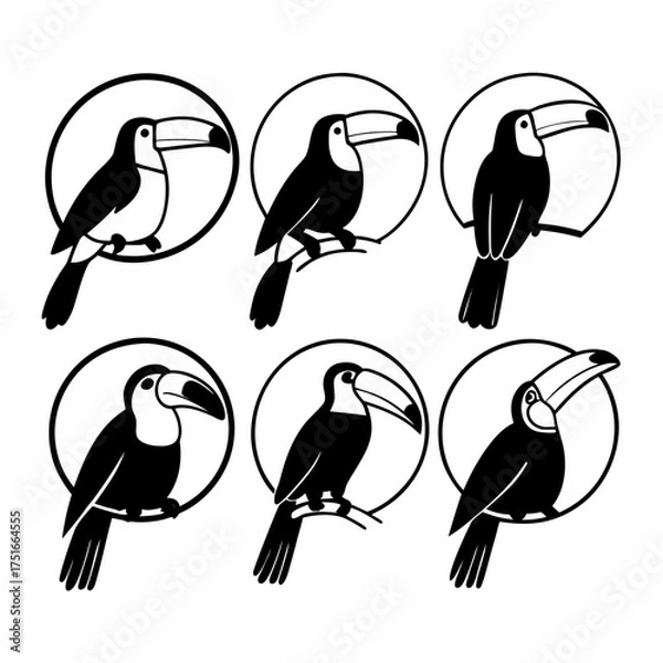 Fototapeta Illustration of six toucans in black and white, each perched within a circle