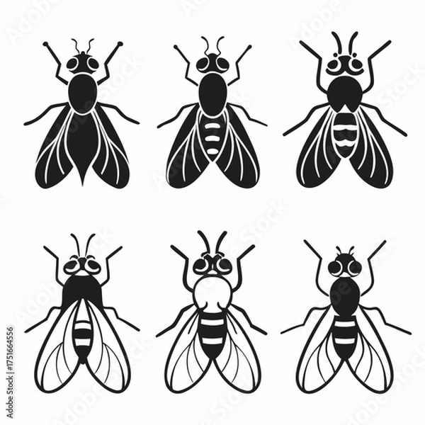 Fototapeta Collection of six fly icons, showcasing various fly species in black and white