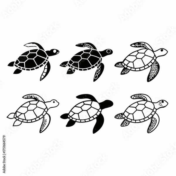 Fototapeta Six turtles in a pattern, black and white illustration, , vector format