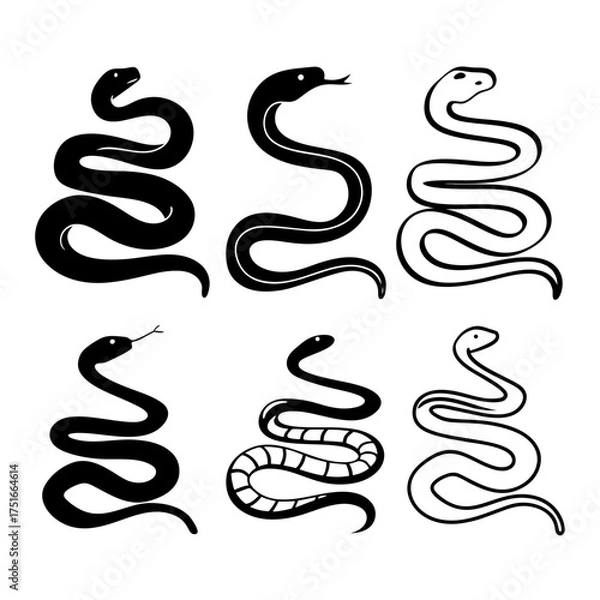 Fototapeta Collection of six snake illustrations, showcasing diverse shapes and patterns