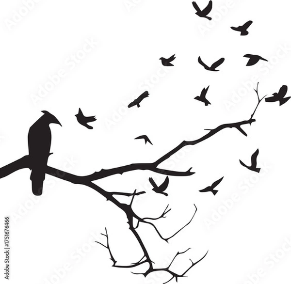 Obraz Crow on a Branch with Flying Birds Silhouette
