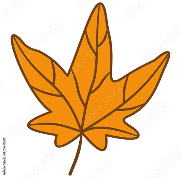 Fototapeta maple leaf vector