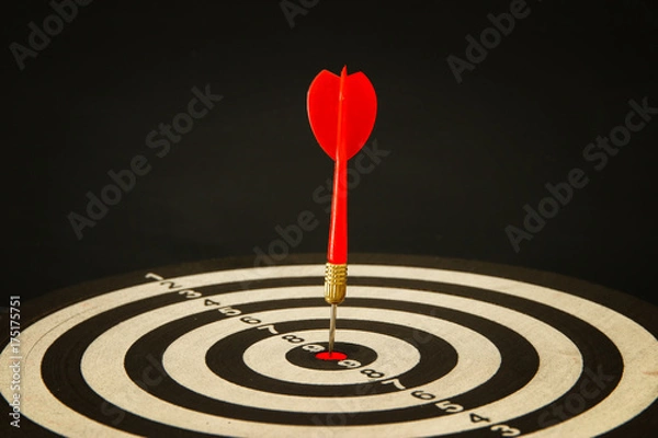 Fototapeta Red darts arrows in the target center