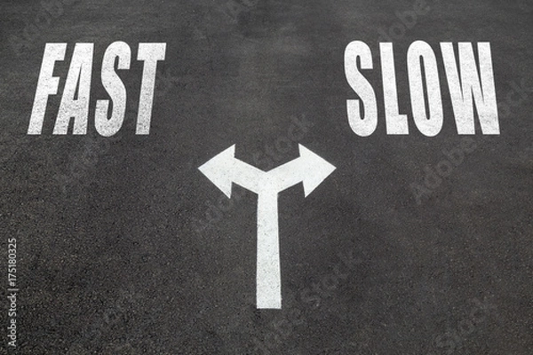 Obraz Fast or slow choice concept