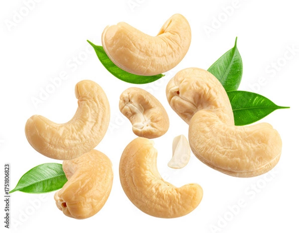Fototapeta Cashew Nuts Falling Motion on Transparent Background