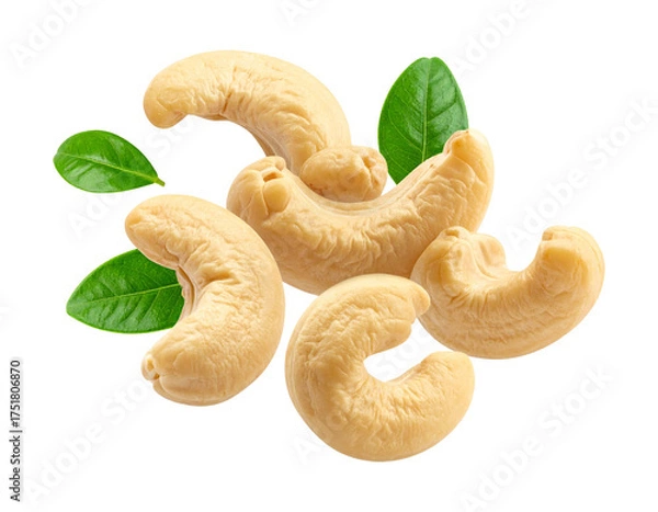 Fototapeta Cashew Nuts Falling Motion on Transparent Background