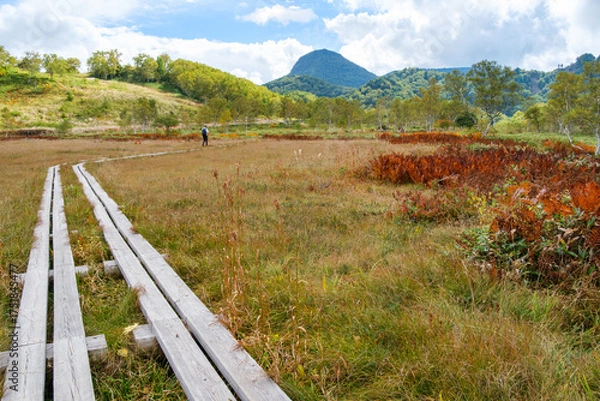 Fototapeta 田ノ原湿原のハイキング
